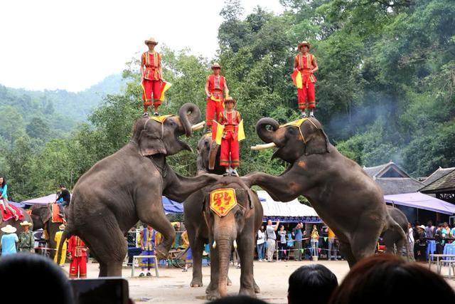 西双版纳哪里最值得去?