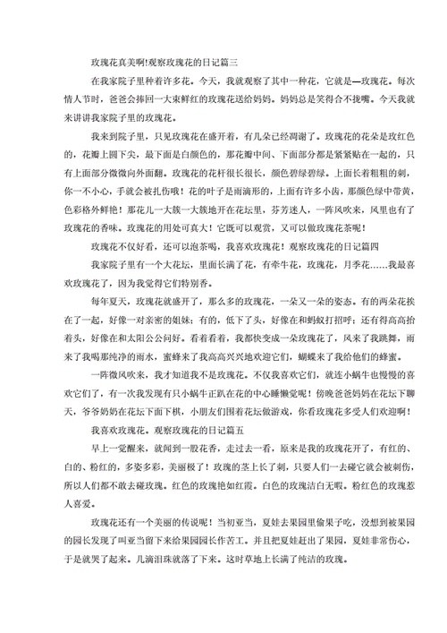 观察玫瑰花的日记六篇.doc 3页