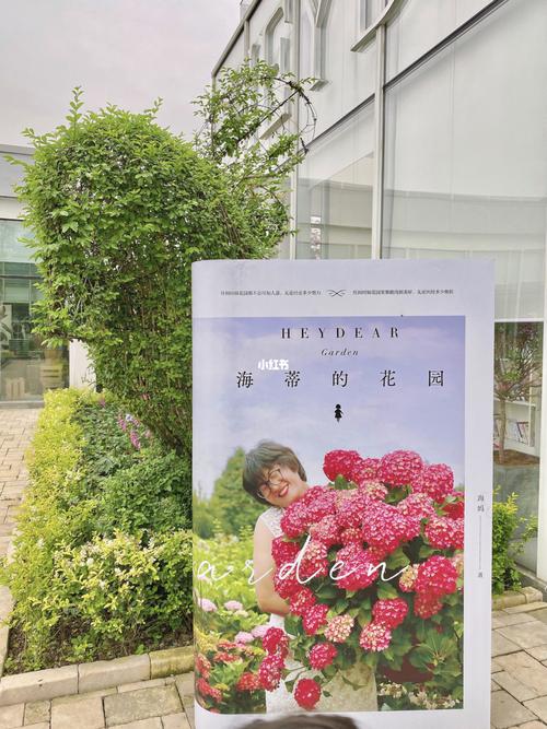 海蒂的花园龙沙宝石花墙,被这个花园美哭了_宝石_仙女