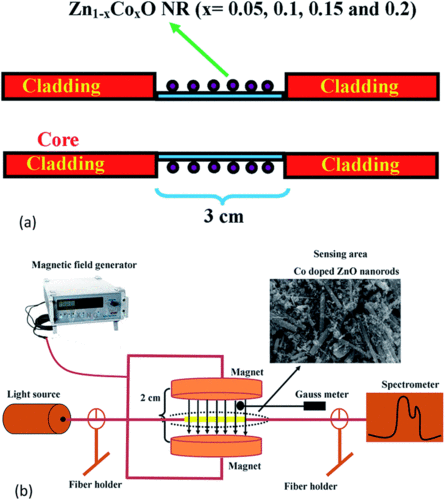 the ablated cladding region was chemically etched using acetone