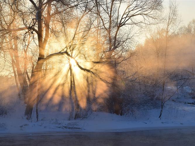 冬天,早晨,日出,太阳的光线,雾,树,雪 壁纸 - 1024x768