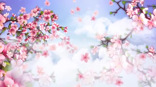 桃花图片唯美图片