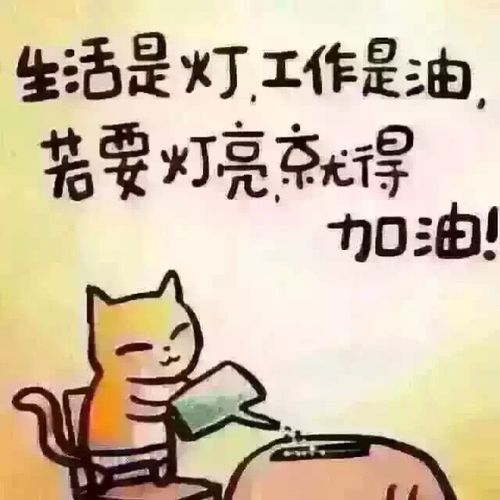 生活是灯,工作是油!若想灯亮,一起加油!