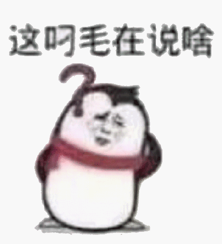 这叼毛在说啥