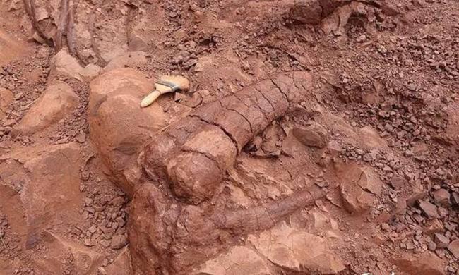 云南再度出名!禄丰时隔83年再现恐龙化石,大雨冲刷无意发现骨架