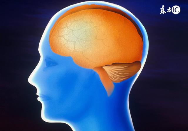 脑干诱发电位abr的简介