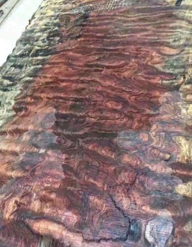 几十万一块的巴花木头到底是怎么来的,为什么那么值钱