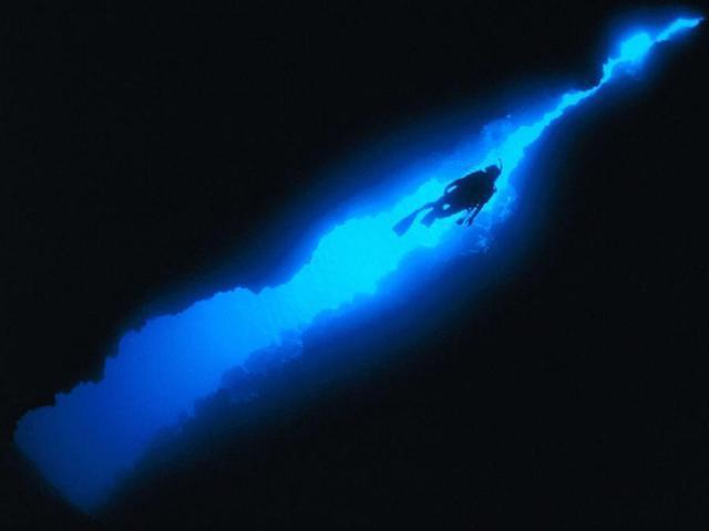 这是一种虾钩类的片足动物,常见于6000到9000米的超深渊水层带,但是在