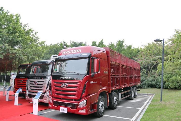 四川现代 xcient创虎重卡 300马力 8x4 9.