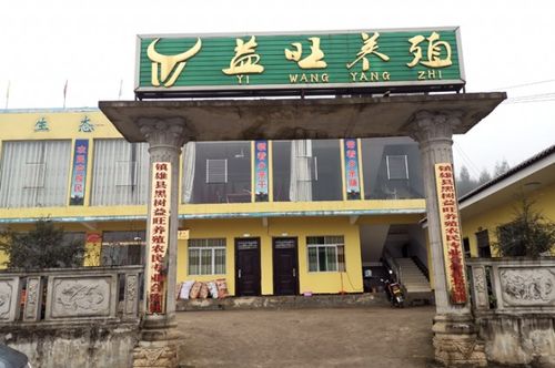 绿盾,远超,山岭,丰禾,畅悦,灿栗7个专业种养殖合作社中,益旺拥有自己