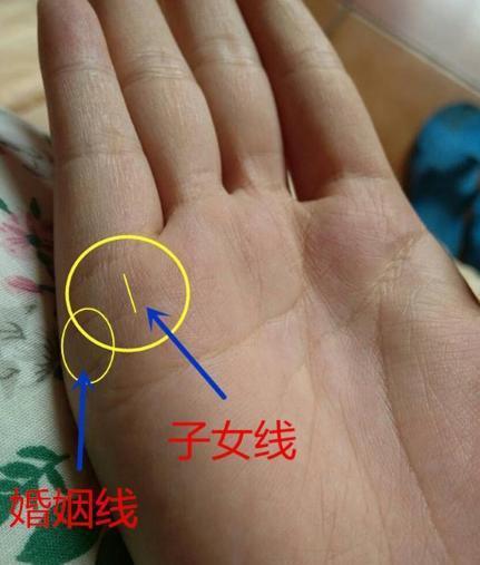 手相如何认清,看懂子女线, 别看错了!