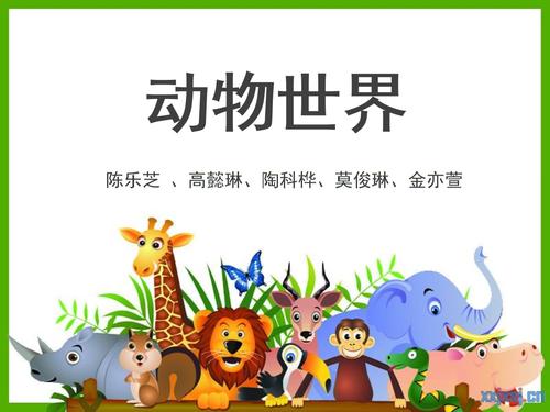 动物世界介绍.ppt