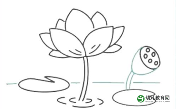 怎样画荷花荷叶简笔画