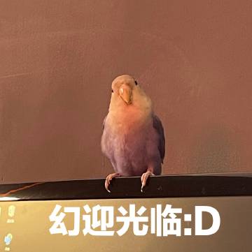 账号@拽哥不拽我拽 飒飒还未回家 某幻君官方账号@某幻今天拖更了没