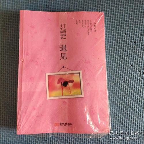 丁立梅作品十年精选集:遇见