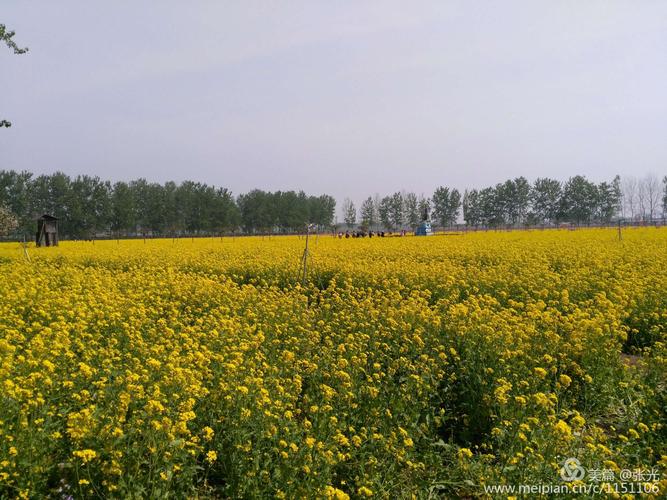 全国最后一个人民公社(晋州周家庄乡)