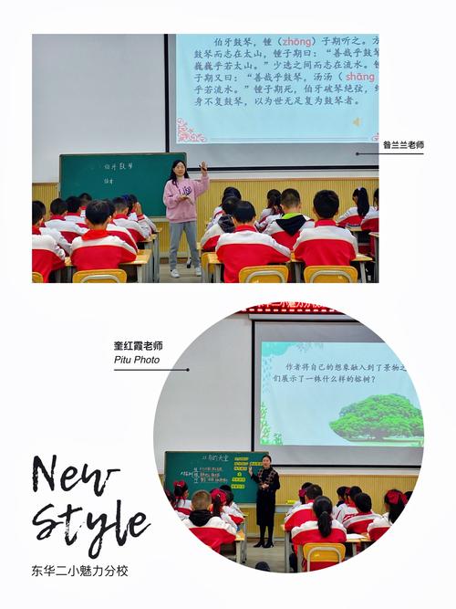 "以赛促学 魅力阅读"--东华二小魅力分校第一届语文教师阅读教学课堂