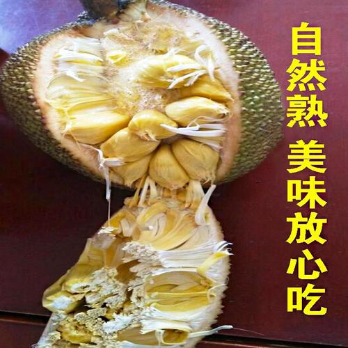 广西北海现摘新鲜野生湿包树菠萝蜜现摘金/包树菠萝有