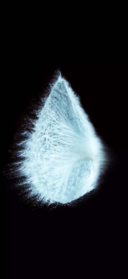 手机壁纸子弹时间瞬间壁纸