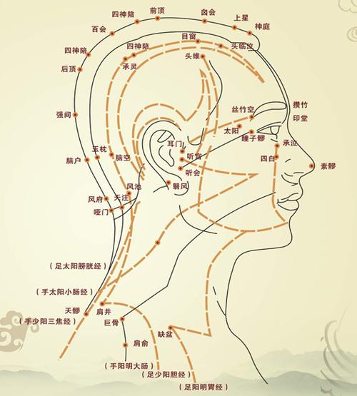 头痛讲坛头顶痛