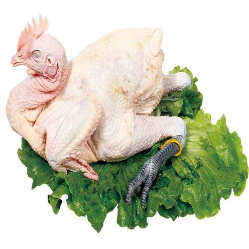 黑腿鸡原价6.98元/斤    特价5.98元/斤