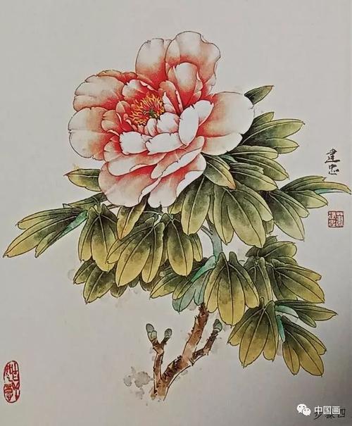国画花鸟教程工笔牡丹步骤简单易