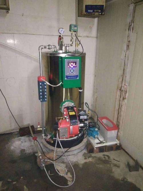 匠奥燃油燃气蒸汽发生器安装实例图