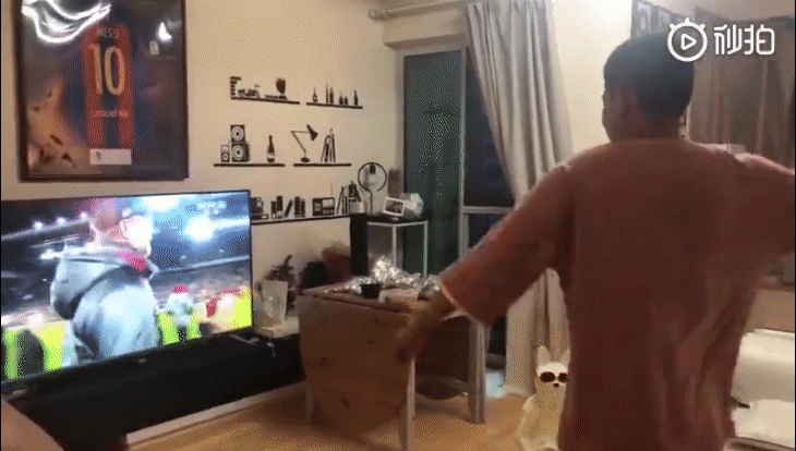 被苏醒踢碎的电视 换屏可能比买新机还贵