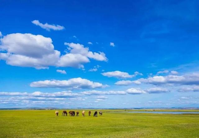 草原行返程到北京时,由于郑州发洪水导致火车停运,这时我们再次