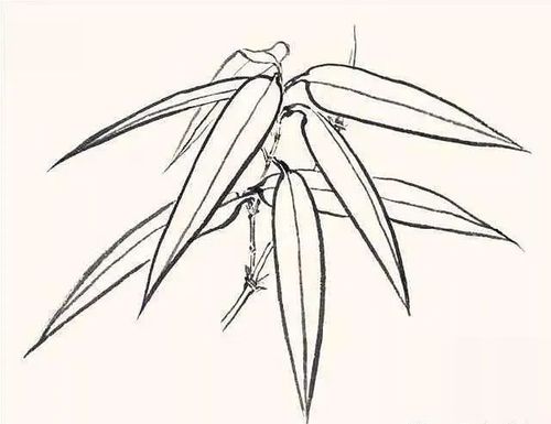 国画教程各种竹叶的画法简单易学