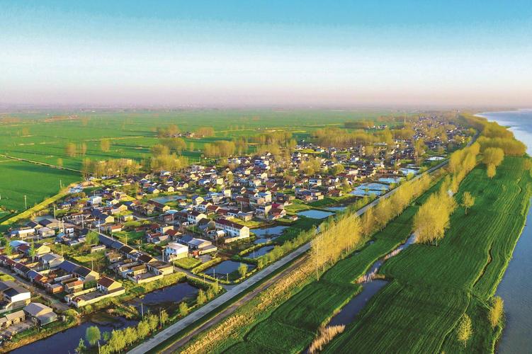 美丽乡村入画来_明光市