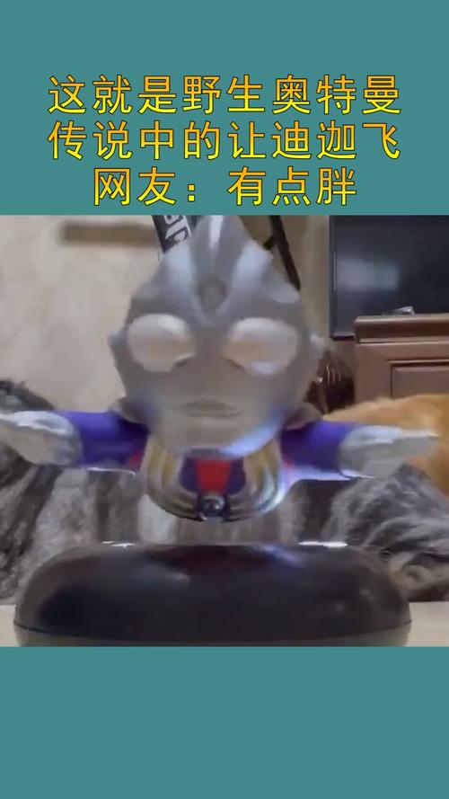 我要上热门这就是传说中的迪迦起飞但是有点胖了呀需要身材管理