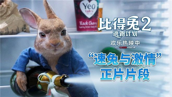 电影比得兔2逃跑计划手机在线高清完整观看免费国语版1280p清晰资源无