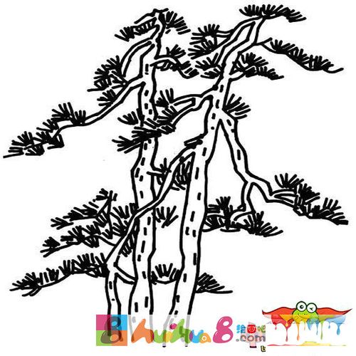 迎客松简笔画图片大全,迎客松怎么画幼儿园