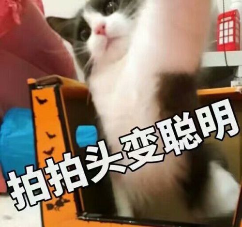 真让人上火 - 斗图表情包 - 斗图神器 - adoutu.com