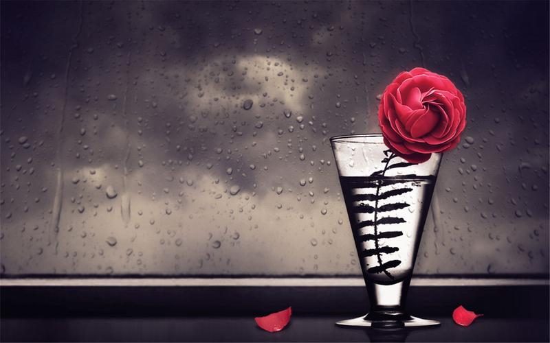 另类个性的创意设计图片电脑桌面壁纸高清下载