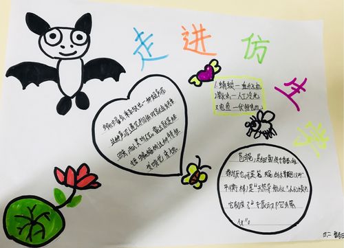 大自然的启示(仿生学)