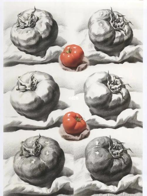 素描静物单个物体,水果蔬菜基础素描_素描_蔬菜_水果