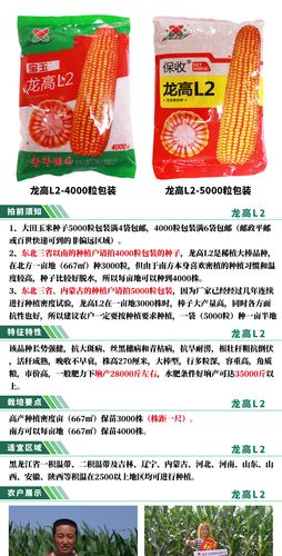 青园种业 5000粒 保收龙高l2杂交玉米种子大田高产抗旱抗倒伏