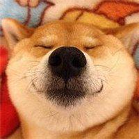 微信头像图片大全 微信情侣头像200_200