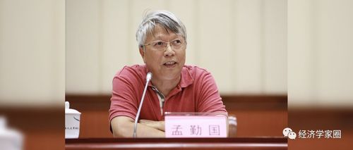 武大教授孟勤国:如何迅速成为著名教授