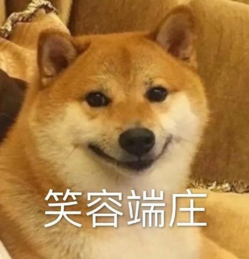 沙雕又可爱的王者情侣id