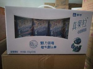 蒙牛真果粒蓝莓果粒12盒装 牛奶饮品250g*12盒/箱 整箱包邮促销