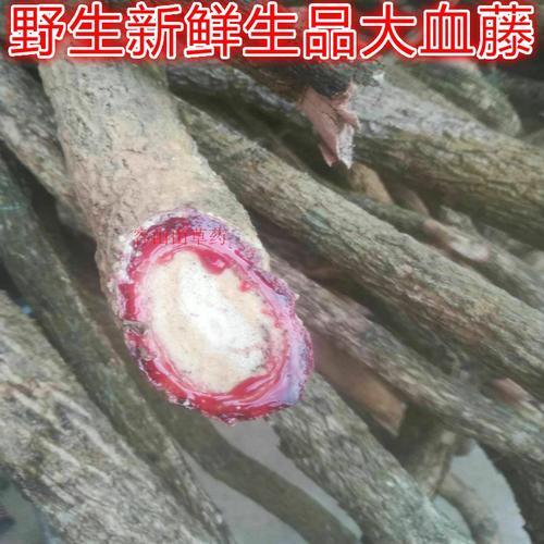 野生新鲜大血藤 血藤 出血藤 整根整段发货 3斤包邮 白花血藤_7折现价