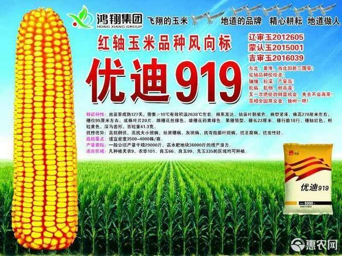 优迪919玉米种子 【财富握在手】