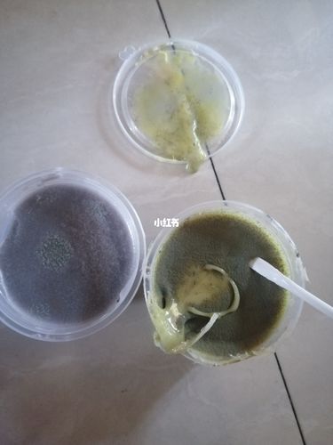 我的起泡胶就发霉了_起泡胶_六十六团场自由行热门攻略_兴趣爱好_兴趣