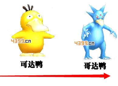 口袋妖怪可达鸭进化流程详解 进化过程介绍
