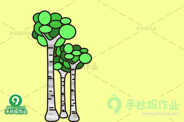 挺拔的杨树简笔画