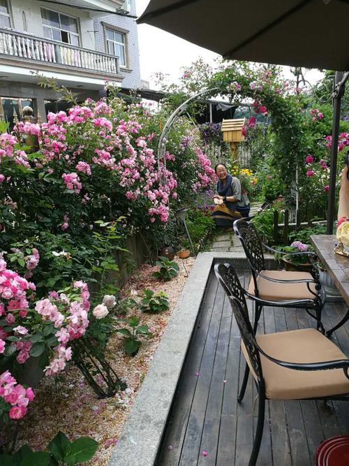 静静立在一墙的蔷薇花帘下,整个人便被芬芳浸染了.