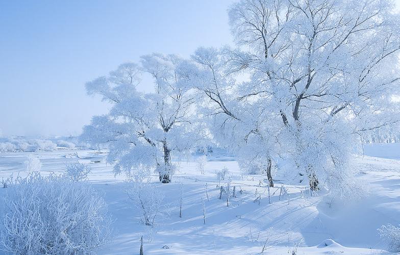 唯美朦胧雾凇图片壁纸,银装素裹迷人心扉